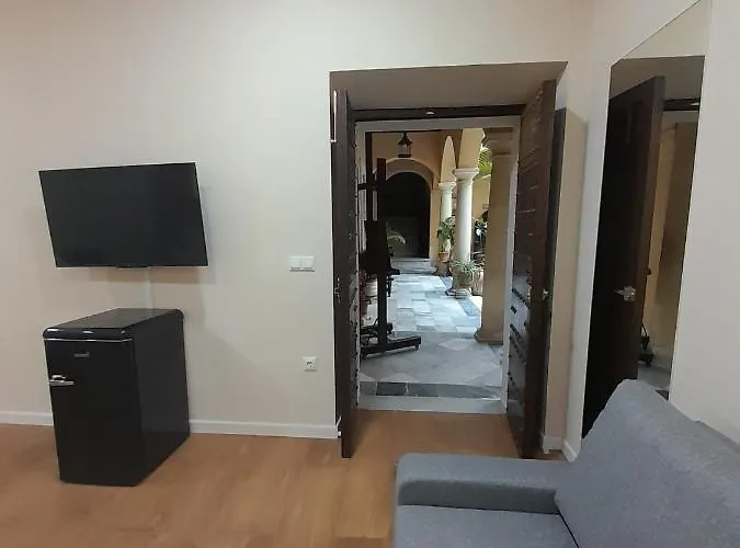 Casa Del Anticuario Apartment